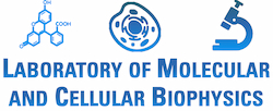 Molecular and Cellular Biophysics Laboratory
